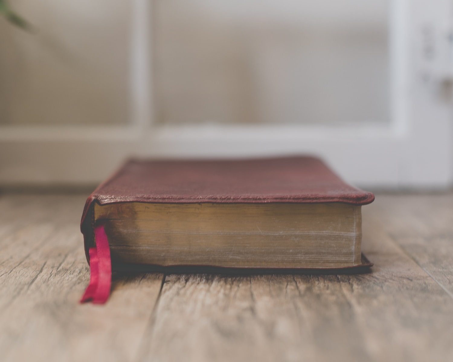 closed red book on brown wooden surface